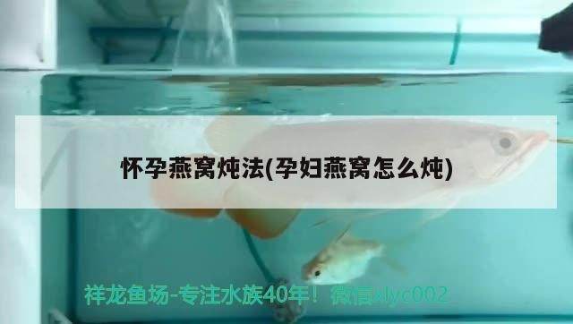 太陽光下的龍魚虎魚 太陽光下的龍魚虎魚 虎魚百科 第2張