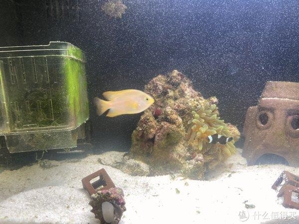 棗莊市山亭區海興水族館（棗莊市山亭區海興水族館電話）