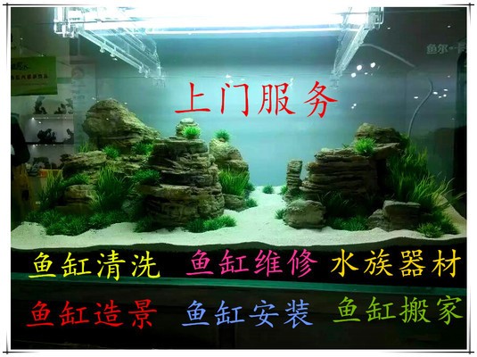 煙臺市鳥語花鄉花卉有限公司碧海水族經營部（牟平鳥語花叢）
