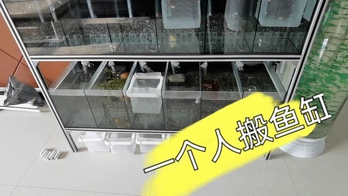 大型魚缸怎么搬運好看視頻：大型魚缸搬運技巧
