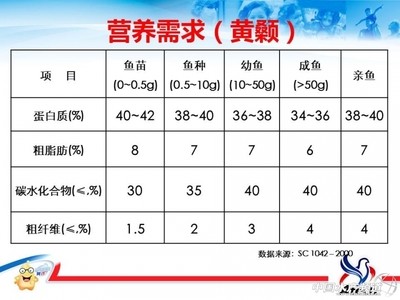 魚缸過濾器怎么清理污垢(魚缸過濾器怎么清理污垢的)