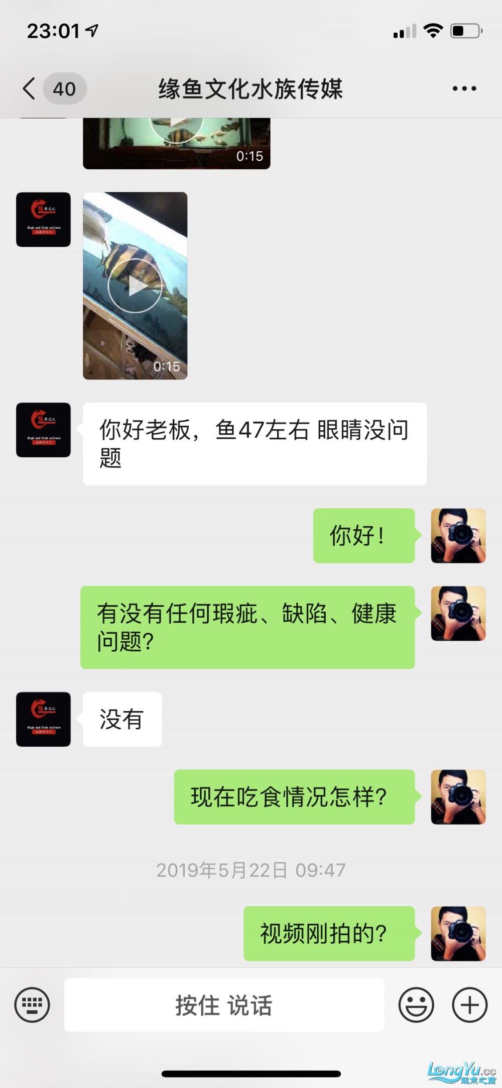 這個虎魚眼睛有問題嗎？請大家來評評理