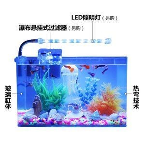 斗魚缸需要過濾器嗎：養斗魚是否需要過濾器，從以下幾個方面進行分析，可以分析 斗魚缸需要過濾器嗎：養斗魚是否需要過濾器，從以下幾個方面進行分析，可以分析 魚缸百科 第3張