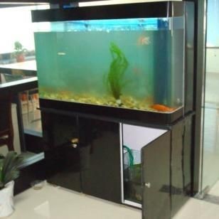 超白魚缸批發：超白玻璃魚缸批發價格是多家鼎尊日用玻璃制品有限公司 超白魚缸批發：超白玻璃魚缸批發價格是多家鼎尊日用玻璃制品有限公司 魚缸百科 第2張