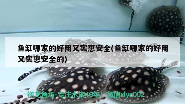 魚缸哪家的好用又實<strong><mark>惠安</mark></strong>全(魚缸哪家的好用又實<strong><mark>惠安</mark></strong>全的)