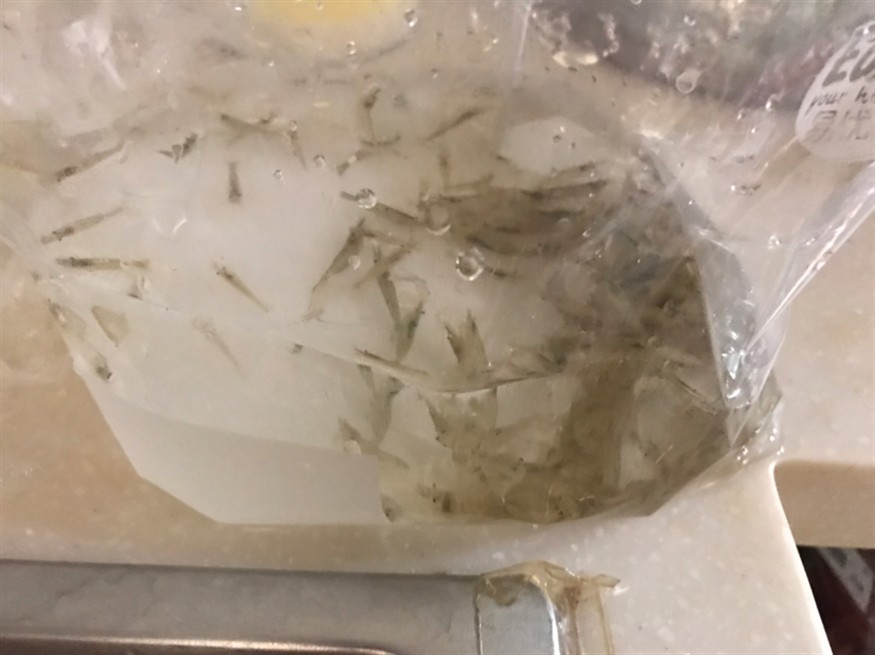 給龍魚和虎魚買了點小零食省事直接喂虎魚還吃 給龍魚和虎魚買了點小零食省事直接喂虎魚還吃 虎魚百科 第1張