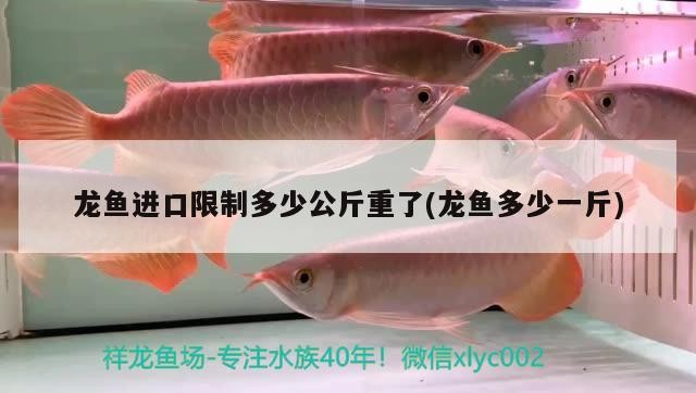 今天添了一條虎魚(yú)20多公分