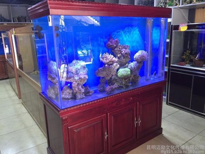 沁水縣龍港鎮(zhèn)水晶水族館（沁水縣龍港鎮(zhèn)水晶水族館電話）