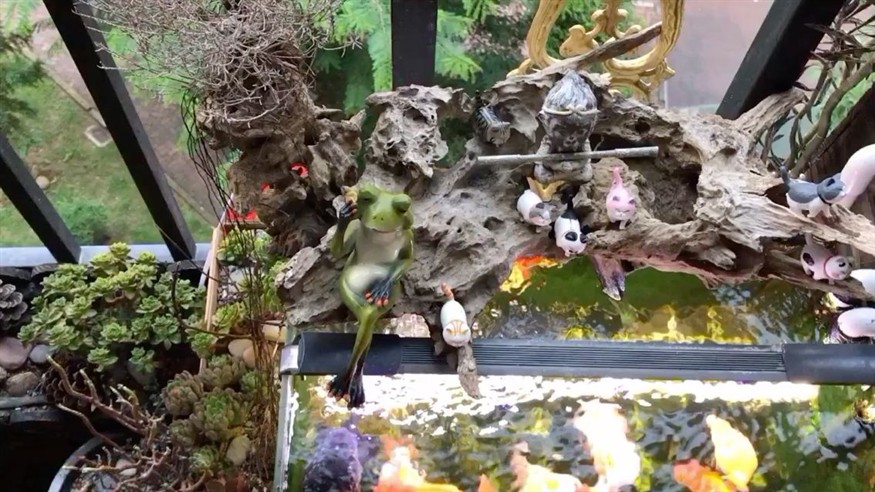 《風水相師龍生》在哪里可以閱讀，《風水相師龍生》作者是誰《風水相師龍生》的作者是誰