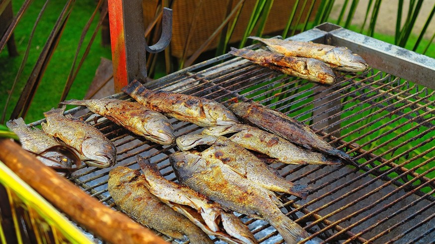 一龍五虎還需要加條什么魚 一龍五虎還需要加條什么魚 虎魚百科 第3張