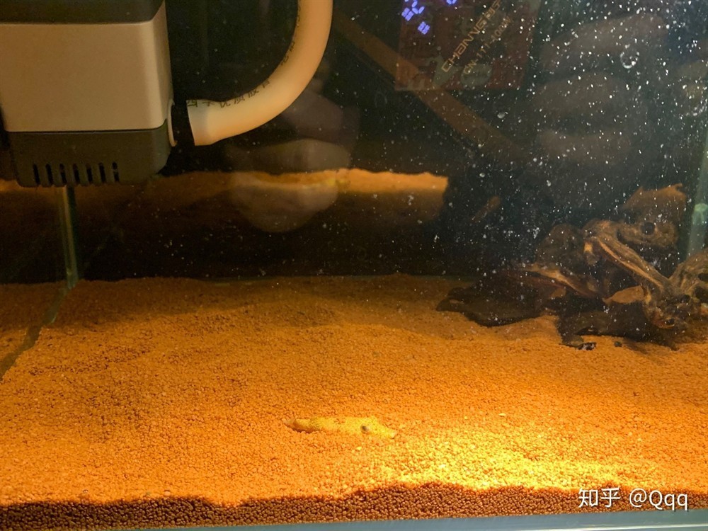大型造景魚缸推薦：大型造景魚缸選擇