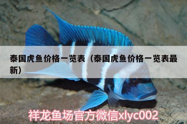泰國(guó)虎魚價(jià)格一覽表（泰國(guó)虎魚價(jià)格一覽表最新）