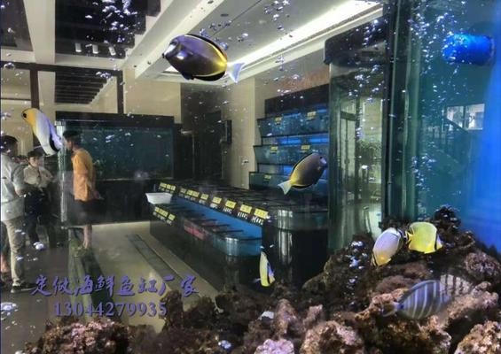 江門市新會區會城魚友水族店：江門市新會區會城魚友水族店電話