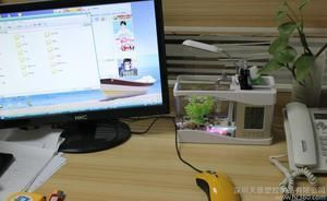 大型魚缸批發市場在哪里進貨：全國主要的魚缸批發市場盤點