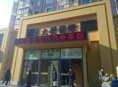 大型魚缸批發市場在哪里進貨：全國主要的魚缸批發市場盤點