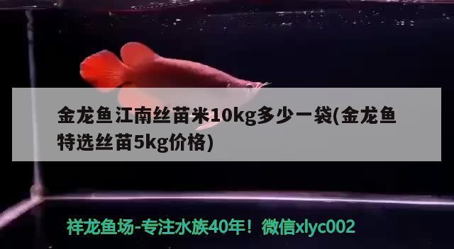 金龍魚江南絲苗米10kg多少一袋(金龍魚特選絲苗5kg價格)