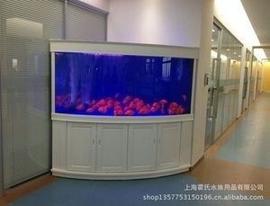 成品魚缸價格多少合適：如何選擇合適的魚缸