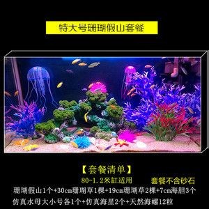 大魚缸需要造景嗎視頻：大魚缸造景的基本信息和步驟，魚缸造景的基本信息和步驟