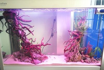 大魚缸需要造景嗎視頻：大魚缸造景的基本信息和步驟，魚缸造景的基本信息和步驟