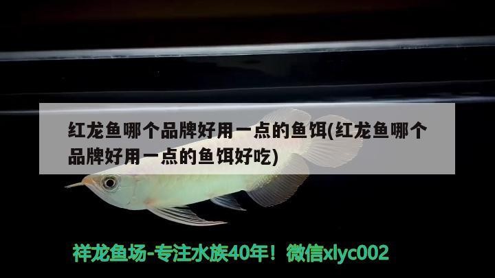 虎魚缸用什么燈 虎魚缸用什么燈比較好