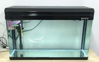 超白魚缸去哪買好看：超白魚缸購買注意事項