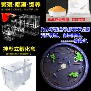 不過濾的魚缸：不使用過濾器的魚缸可以養魚嗎？