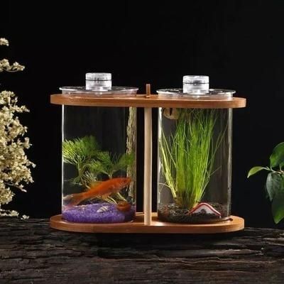 愛上魚專利魚馬桶魚缸：愛上魚專利魚馬桶魚缸使用效果似乎是有喜有憂