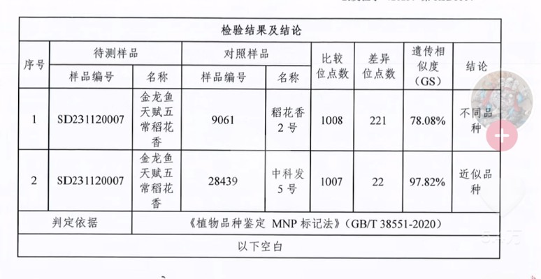 紅龍魚燈光位置擺放圖解（紅龍魚燈光位置擺放圖解大全）