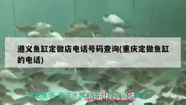 遵義魚缸定做店電話號碼查詢(重慶定做魚缸的電話)