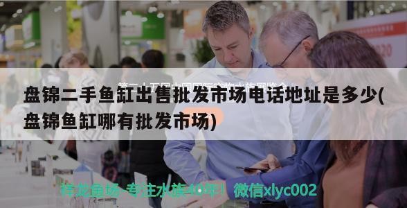 盤錦二手魚缸出售批發(fā)市場(chǎng)電話地址是多少(盤錦魚缸哪有批發(fā)市場(chǎng))