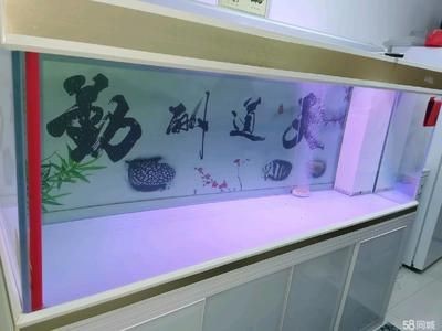 徹底清洗魚(yú)缸重新開(kāi)缸：如何徹底清洗魚(yú)缸并重新開(kāi)缸 徹底清洗魚(yú)缸重新開(kāi)缸：如何徹底清洗魚(yú)缸并重新開(kāi)缸 魚(yú)缸百科 第1張