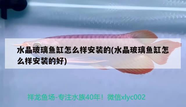 水晶玻璃魚缸怎么樣安裝的(水晶玻璃魚缸怎么樣安裝的好)