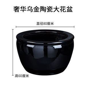 大花盆改魚缸怎么堵：大花盆改魚缸堵眼方法
