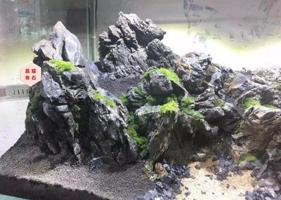 1.2米魚缸造景海：1.2米魚缸造景海可以自制或購買成品的方式來實現(xiàn)