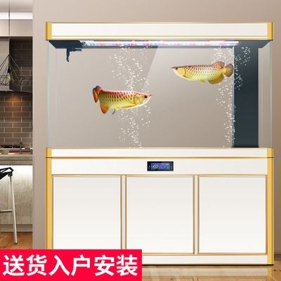 大魚缸換水神器安裝視頻：養魚新手如何正確換水