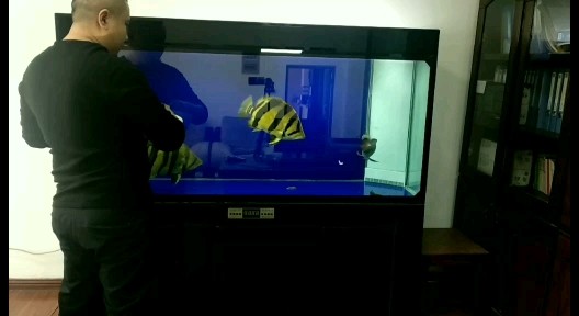 參加活動魚勇龍虎缸喂食貼喜歡點贊