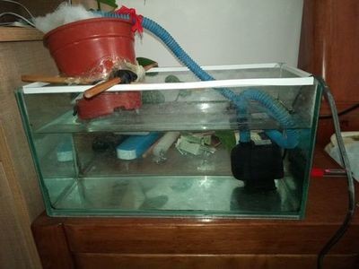 玻璃自制魚缸視頻：玻璃自制魚缸制作方法魚缸制作方法魚缸制作方法