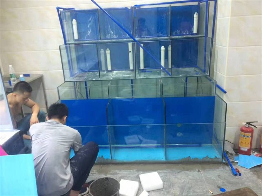 玻璃魚缸爆缸原因：玻璃魚缸爆缸原因及防范措施魚缸爆缸的原因及防范措施 玻璃魚缸爆缸原因：玻璃魚缸爆缸原因及防范措施魚缸爆缸的原因及防范措施 魚缸百科 第1張