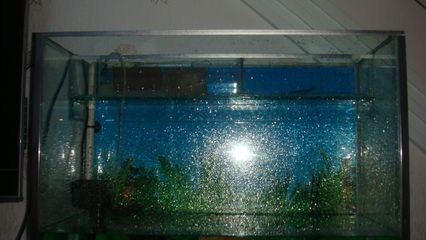 玻璃魚缸爆缸原因：玻璃魚缸爆缸原因及防范措施魚缸爆缸的原因及防范措施 玻璃魚缸爆缸原因：玻璃魚缸爆缸原因及防范措施魚缸爆缸的原因及防范措施 魚缸百科 第3張