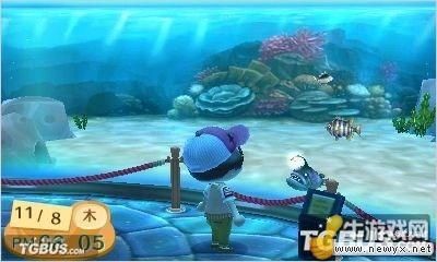 動森魚缸裝飾島上加分嗎：《動物森友會》動物森友會島嶼評分的加分機制和技巧 動森魚缸裝飾島上加分嗎：《動物森友會》動物森友會島嶼評分的加分機制和技巧 魚缸百科 第1張