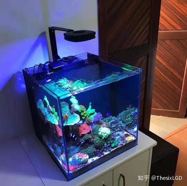不用電的魚缸過濾器有用嗎知乎：不用電的魚缸過濾器實用性時需要考慮魚缸過濾器的基本功能