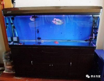 成品魚缸怎么拆：如何拆卸成品魚缸？