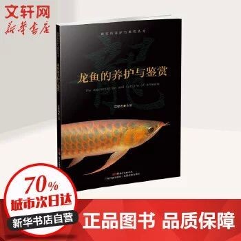龍魚的鑒賞要點是什么意思呀