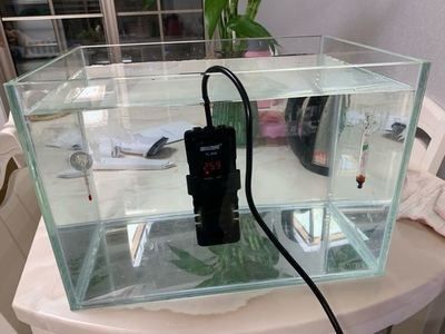 玻璃店魚缸多少錢一條啊：玻璃店魚缸價格因魚缸尺寸、材質、材質、是否定制以及地理位置