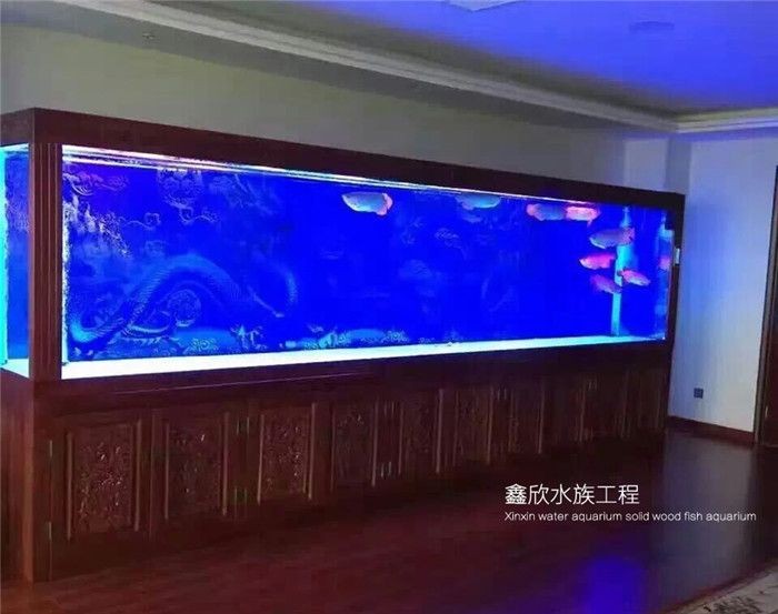 博山哪里賣魚缸的多：博山地區魚缸銷售