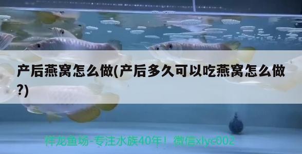 十大名貴觀賞魚種類(名貴的魚有哪些品種)