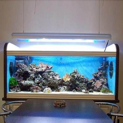 擺放魚(yú)缸的位置：家居風(fēng)水中魚(yú)缸擺放位置的注意事項(xiàng)