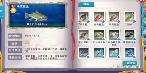 創造與魔法中型魚缸觀賞魚：創造與魔法中型觀賞魚的獲取與玩法 創造與魔法中型魚缸觀賞魚：創造與魔法中型觀賞魚的獲取與玩法 魚缸百科 第1張
