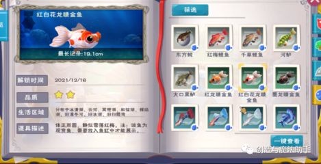 創造與魔法中型魚缸觀賞魚：創造與魔法中型觀賞魚的獲取與玩法 創造與魔法中型魚缸觀賞魚：創造與魔法中型觀賞魚的獲取與玩法 魚缸百科 第3張