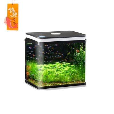 碧歐寶生態小魚缸怎么樣:碧歐寶生態小魚缸使用心得碧歐寶生態小魚缸使用心得 魚缸百科 第3張 碧歐寶生態小魚缸怎么樣:碧歐寶生態小魚缸使用心得碧歐寶生態小魚缸使用心得 碧歐寶生態小魚缸怎么樣:碧歐寶生態小魚缸使用心得碧歐寶生態小魚缸使用心得 魚缸百科 第3張
